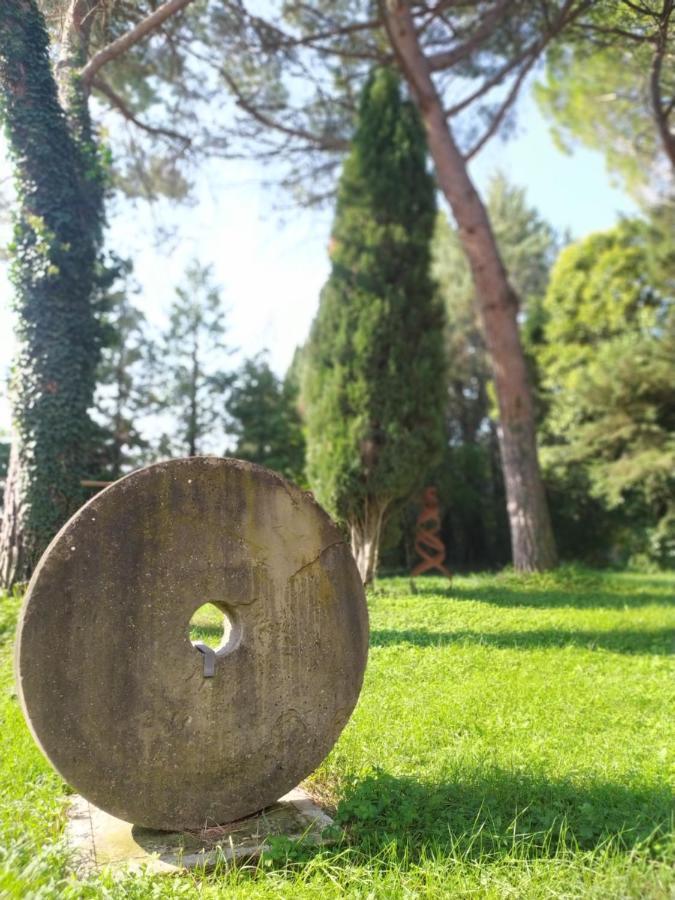 Torrenova Di Assisi Country House ภายนอก รูปภาพ